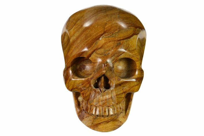 Realistic, Polished Picture Jasper Skull #151155